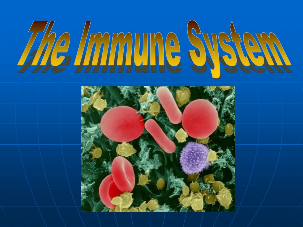 immune system ppt presentation