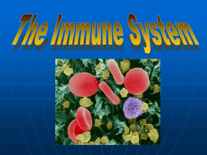 PPT - The Immune System PowerPoint Presentation, Free Download - ID:9721198