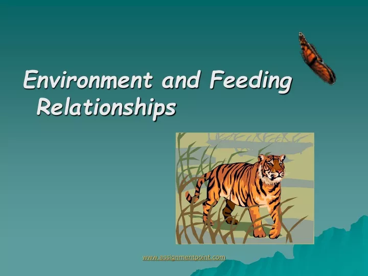 PPT - Environment And Feeding Relationships PowerPoint Presentation ...