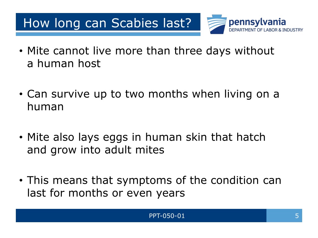 PPT Scabies Bed Bugs MRSA PowerPoint Presentation, free download