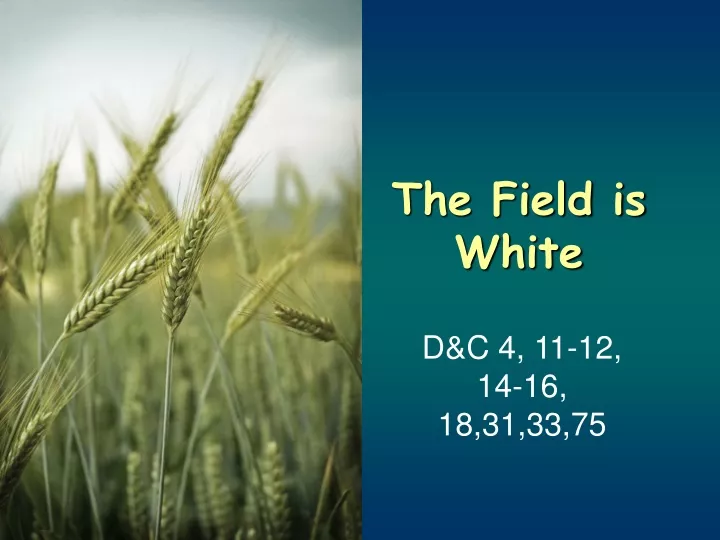 PPT The Field is White PowerPoint Presentation, free download ID