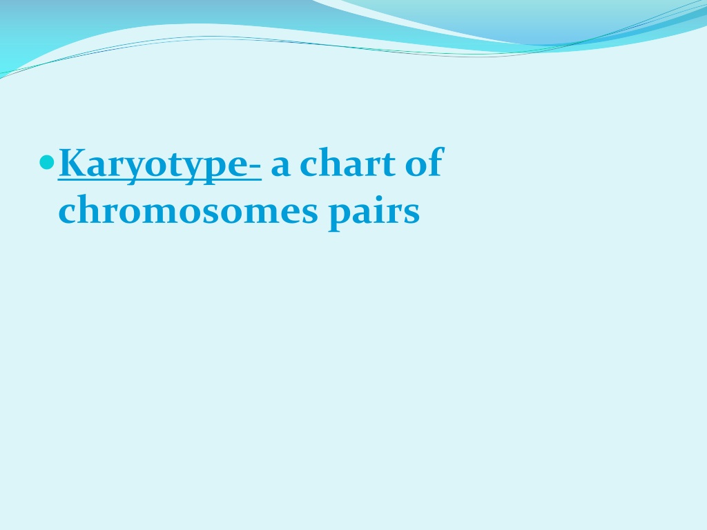 Ppt Karyotypes And Pedigrees Powerpoint Presentation Free Download