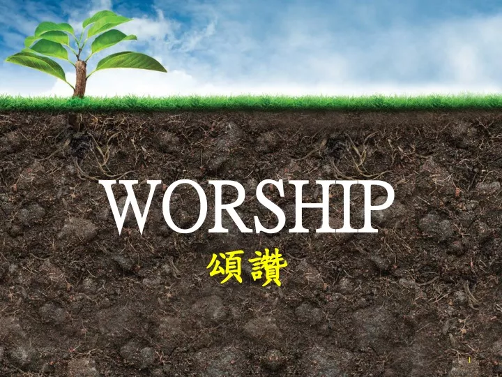 worship n.