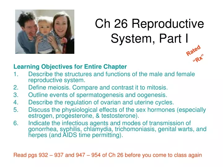 PPT - Ch 26 Reproductive System, Part I PowerPoint Presentation, free ...