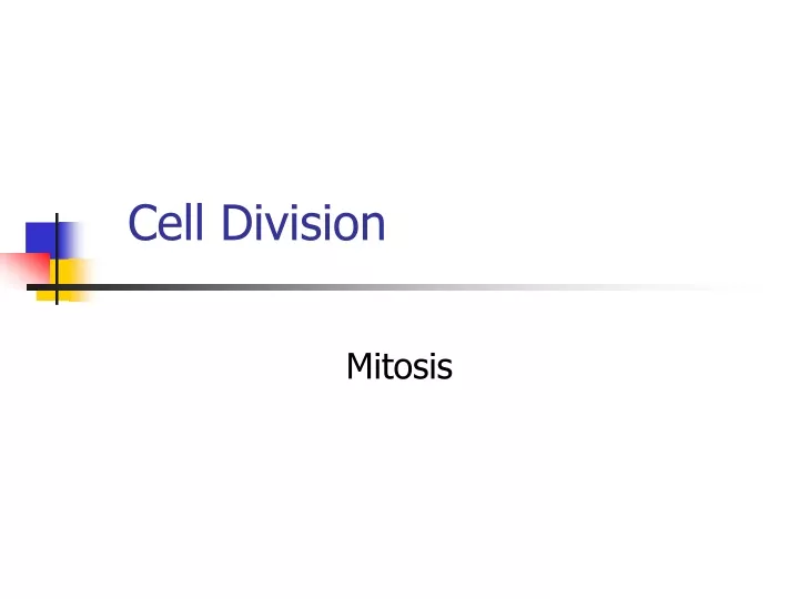 cell division n.