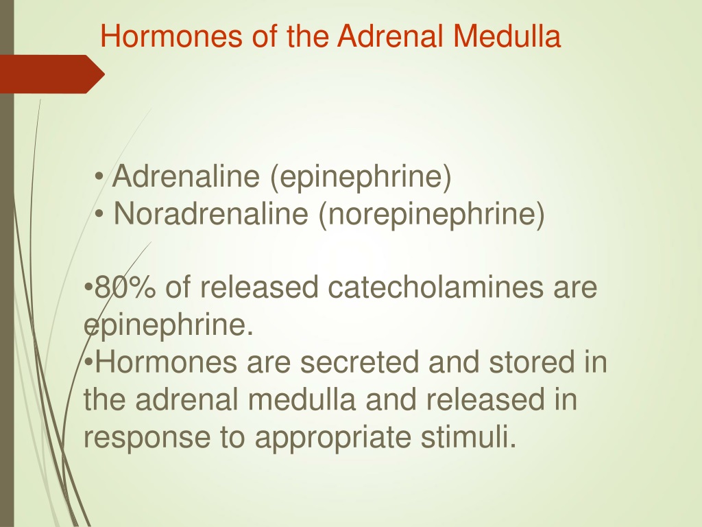 adrenal medulla hormones function