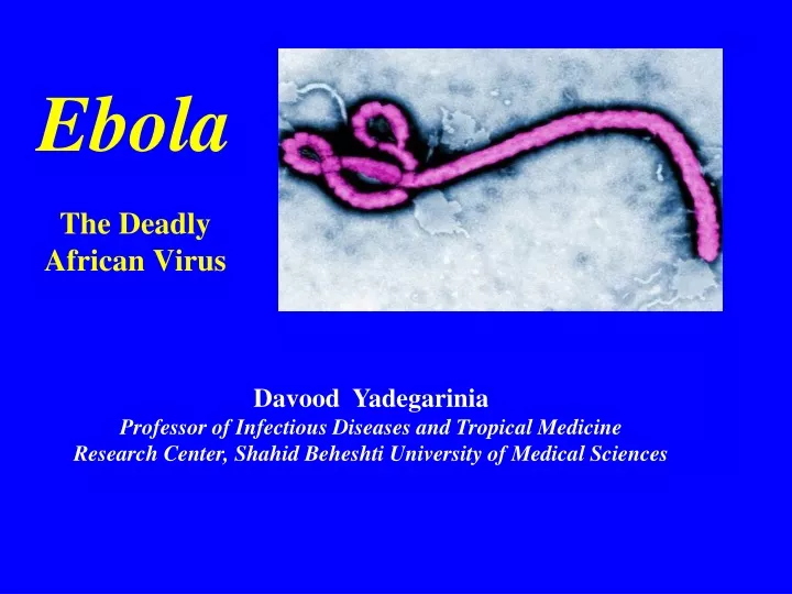 PPT - Ebola PowerPoint Presentation, free download - ID:9726813