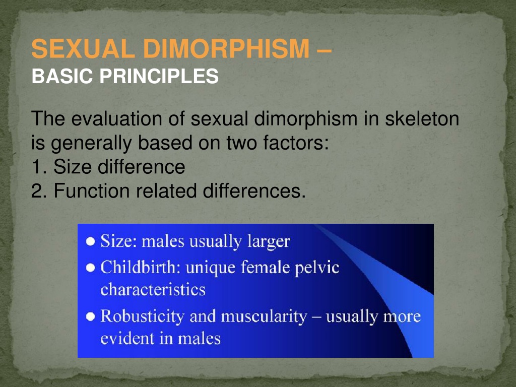 Ppt Sex Determination From Human Skeletal Remains Skull Pelvis Sternum Powerpoint 5536