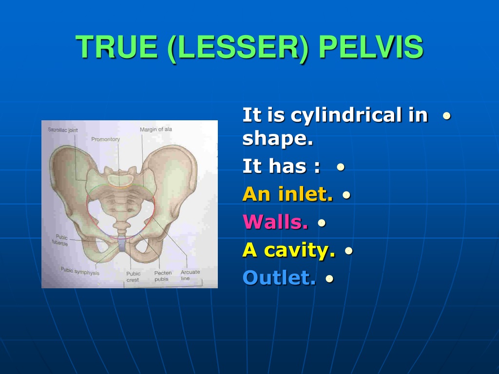 true lesser pelvis.