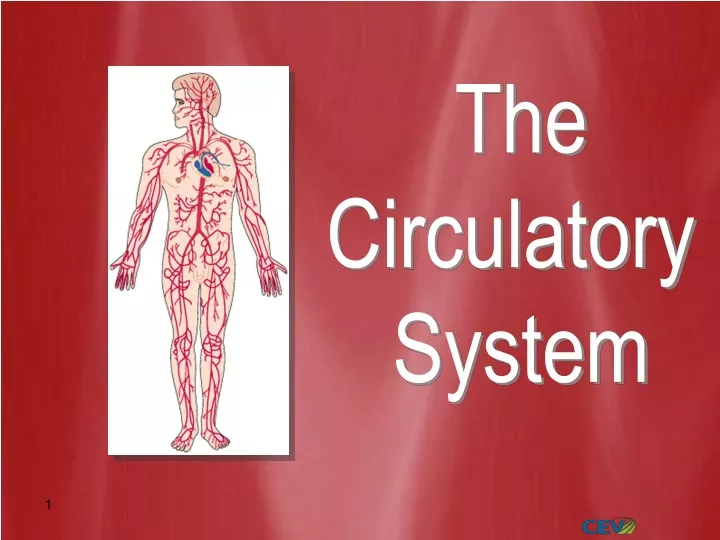 PPT - The Circulatory System PowerPoint Presentation, Free Download ...