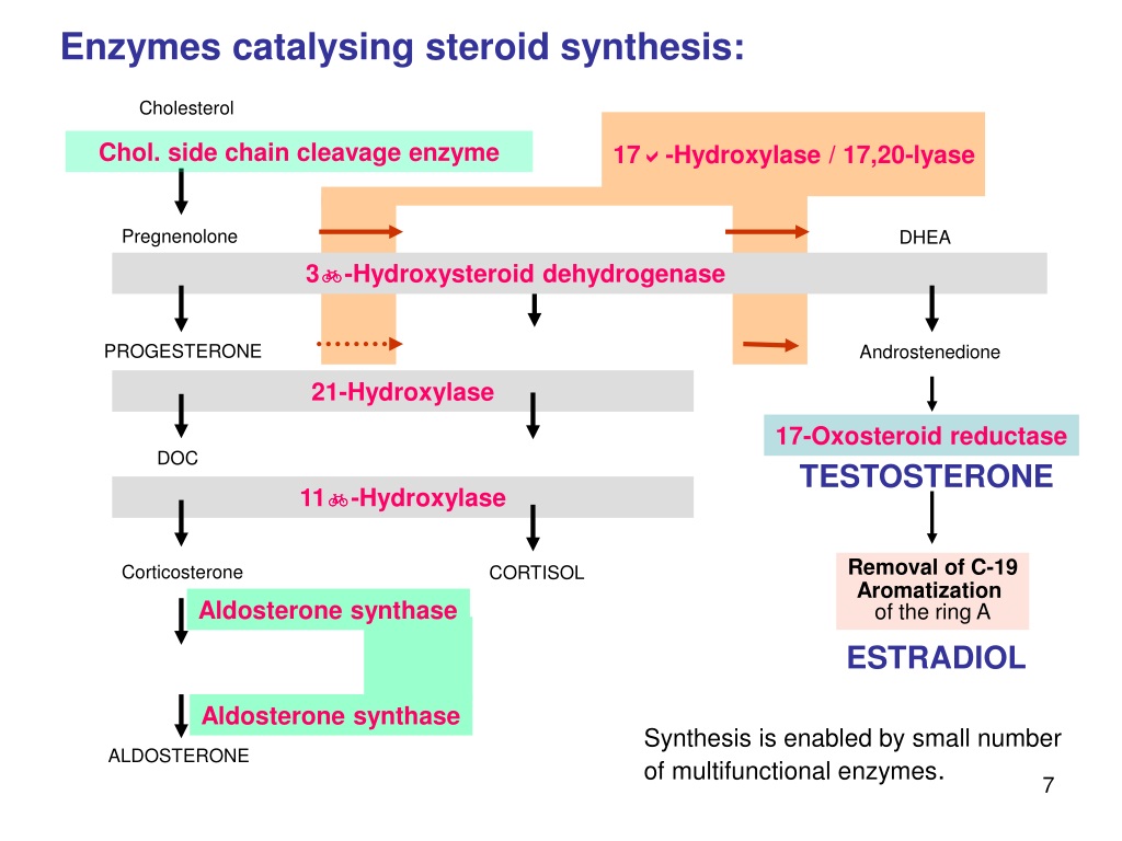 What Happens If Teens Take Steroids