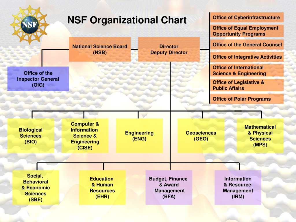 PPT Introduction and NSF Overview PowerPoint Presentation, free