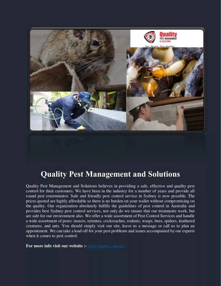 quality pest management and solutions n.