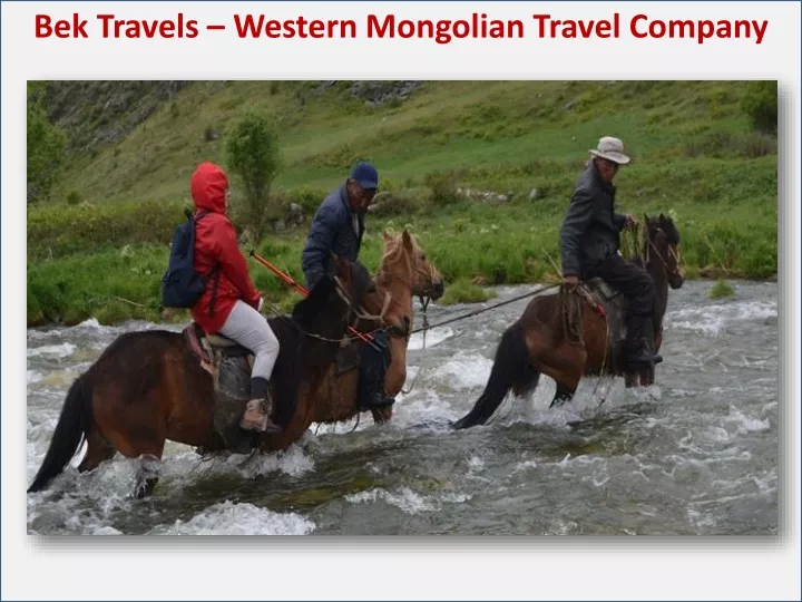 bek travels western mongolian travel company n.