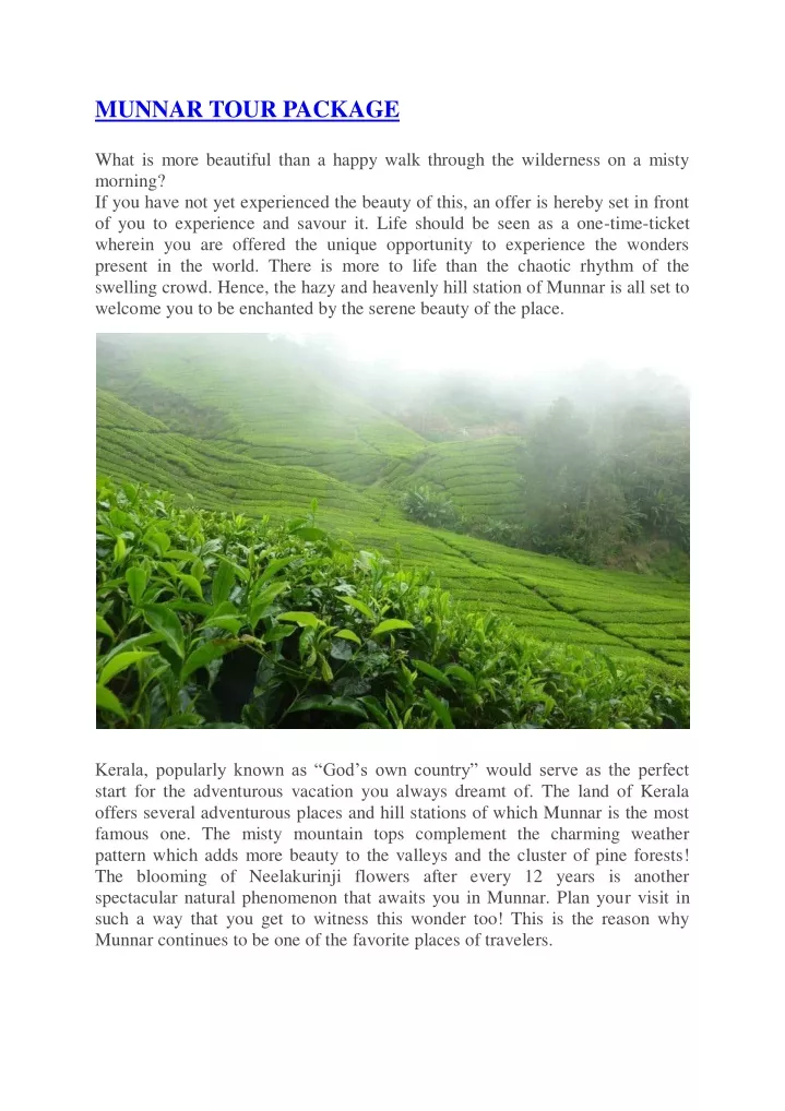 munnar tour package what is more beautiful than n.