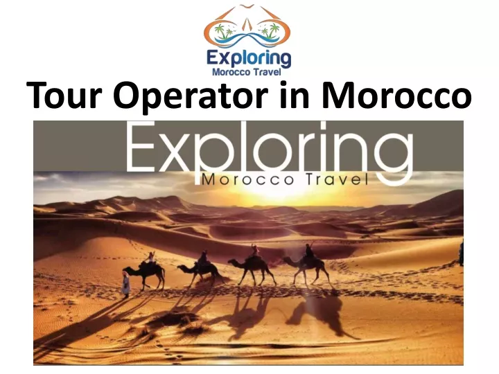 tour operator in morocco n.