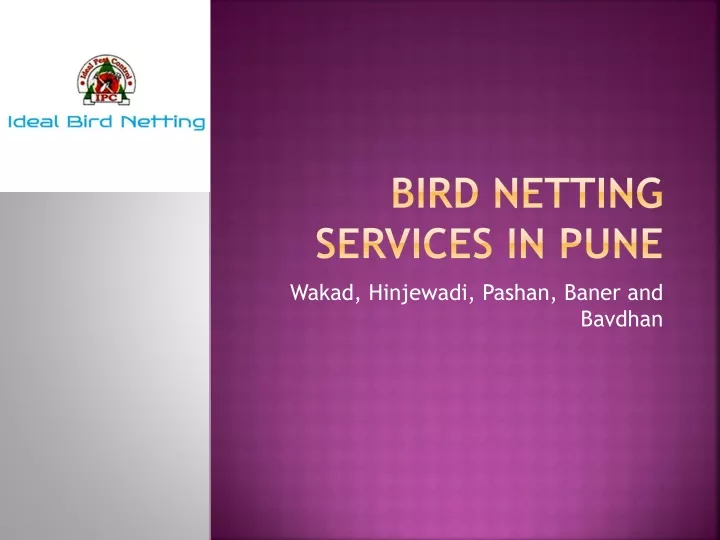 bird netting services in pune n.