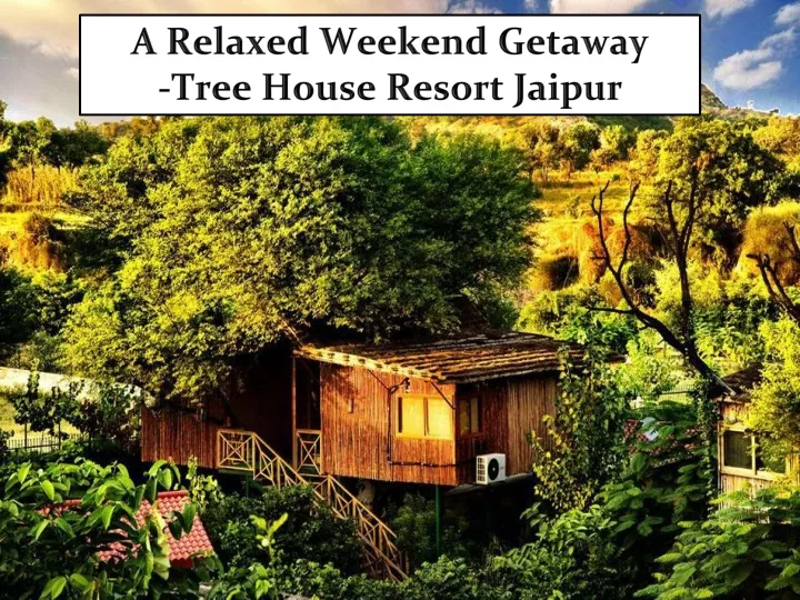 a relaxed weekend getaway tree house resort jaipur n.