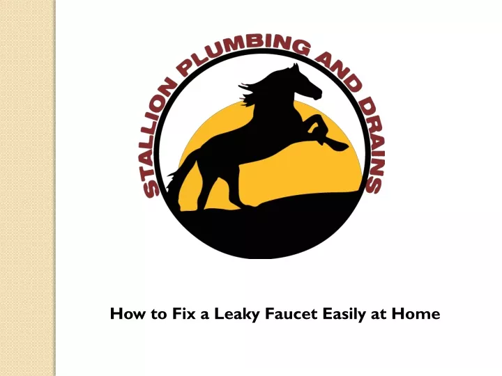 how to fix a leaky faucet easily at home n.