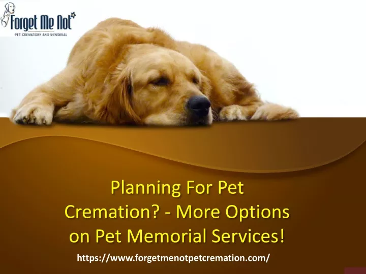 planning for pet cremation more options on pet memorial services n.