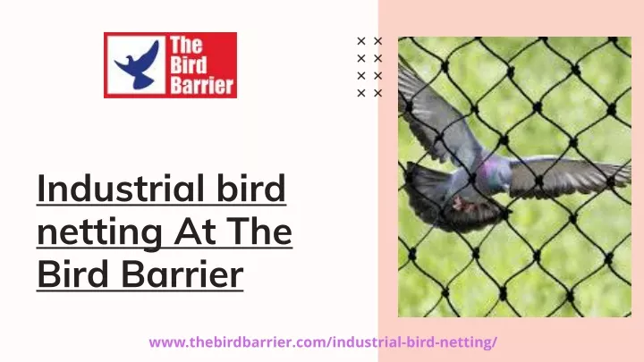 industrial bird netting at the bird barrier n.