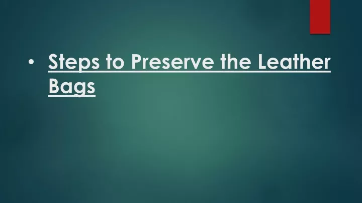 steps to preserve the leather bags n.
