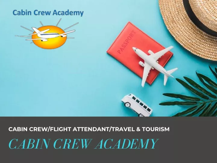 cabin crew flight attendant travel tourism n.