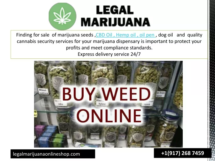finding for sale of marijuana seeds cbd oil hemp n.