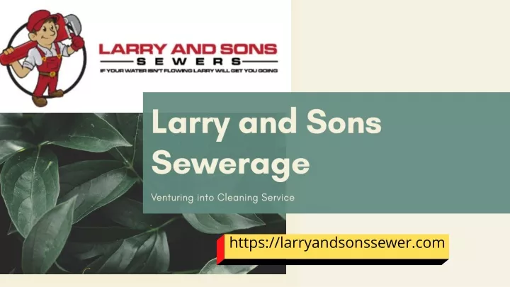 larry and sons sewerage n.
