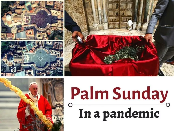 palm sunday in a pandemic n.