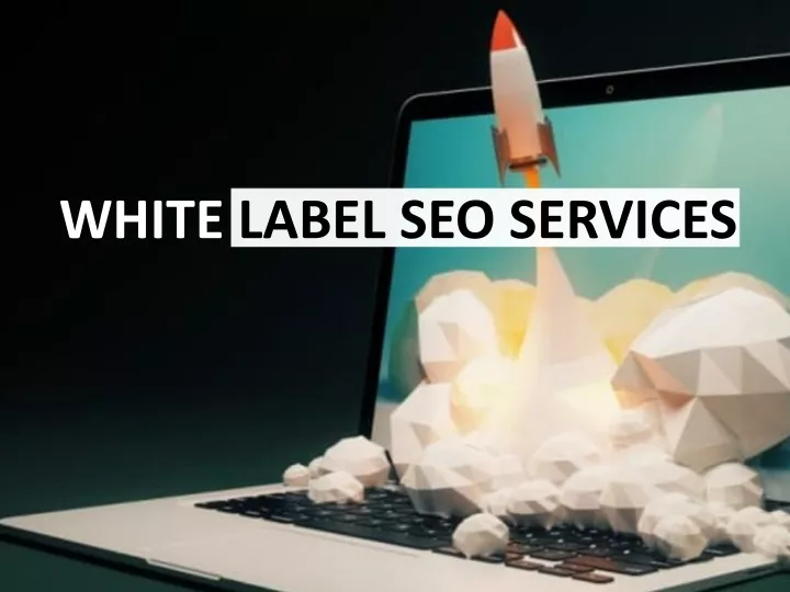 white label seo services n.