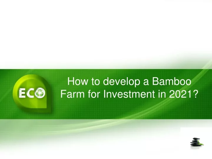 how to develop a bamboo farm for investment in 2021 n.
