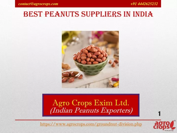 best peanuts suppliers in india n.