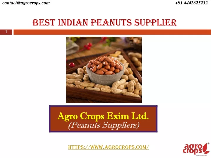 best indian peanuts supplier n.