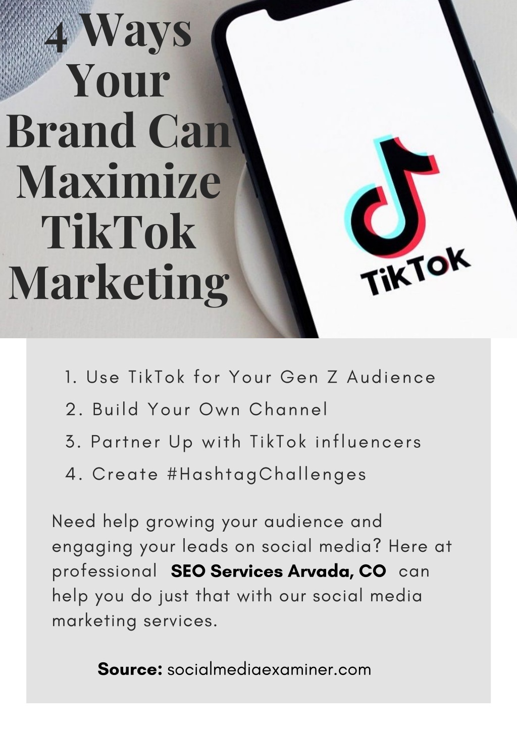 How to Use TikTok to Build Your Audience